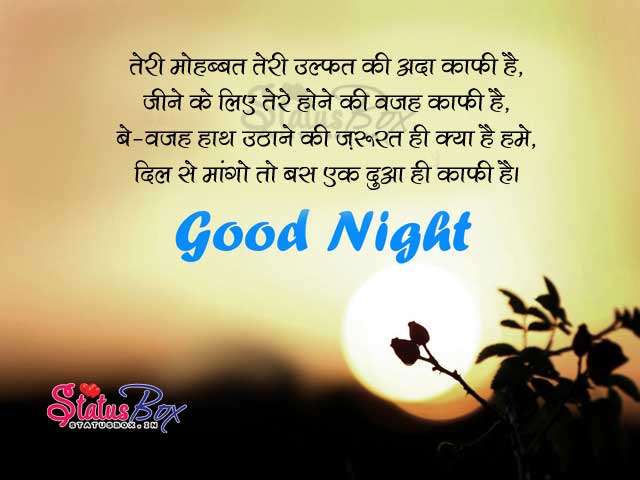 Teri Mohabbat Teri Ulfat - Good Night Status